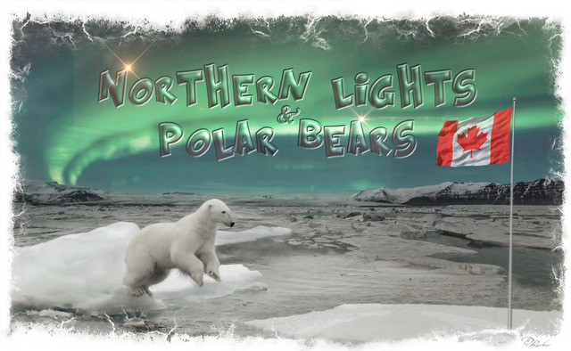 Northern Lights & Polar Bears